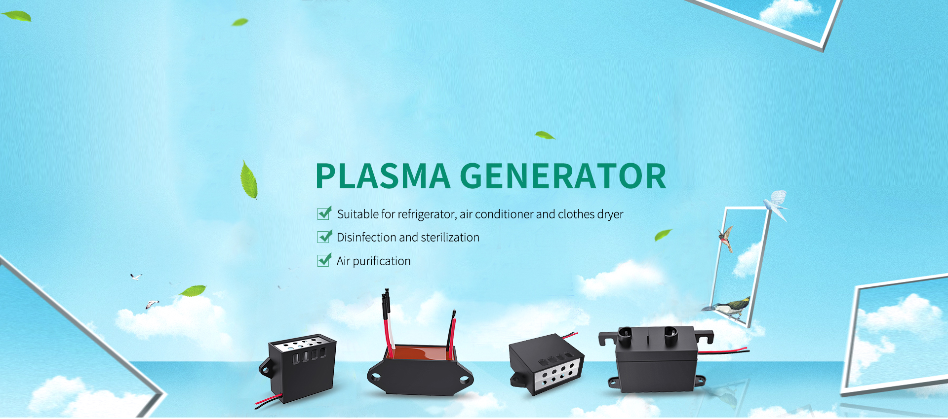 Plasma Ion Generator
