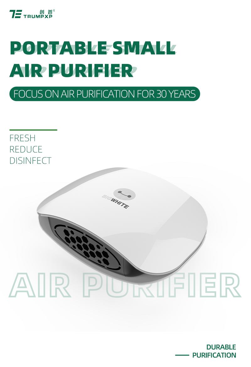 120-2 Air Purifier for Car