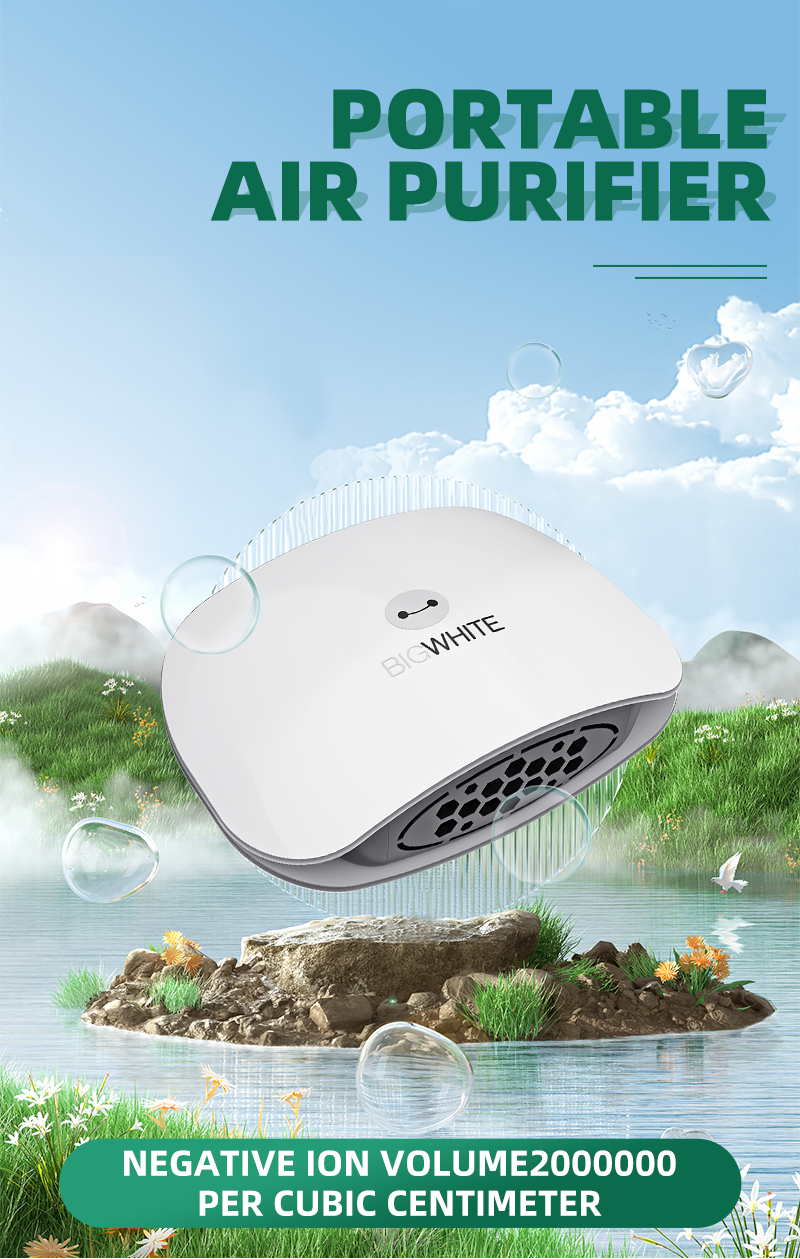 120-2 Air Purifier for Car