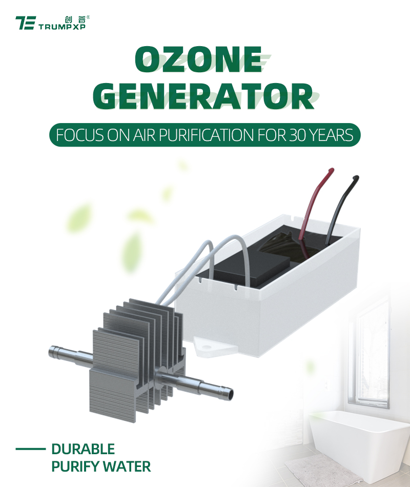 TCB-143 Ozone Generator