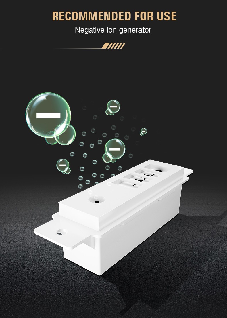 Customizable car air purification accessories