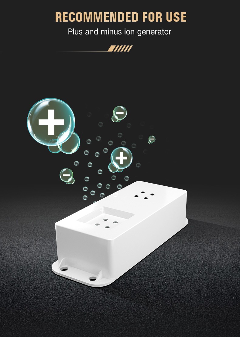 Customizable car air purification accessories