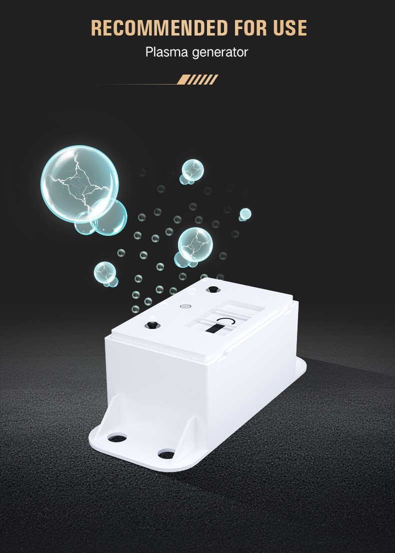 Customizable car air purification accessories