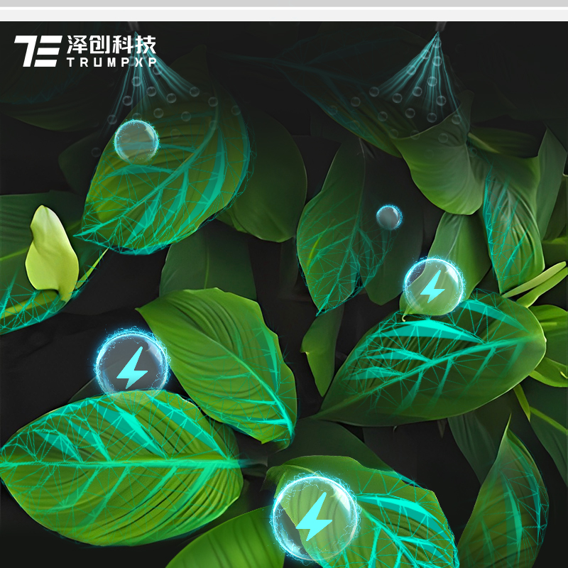 Plant Growth Generator